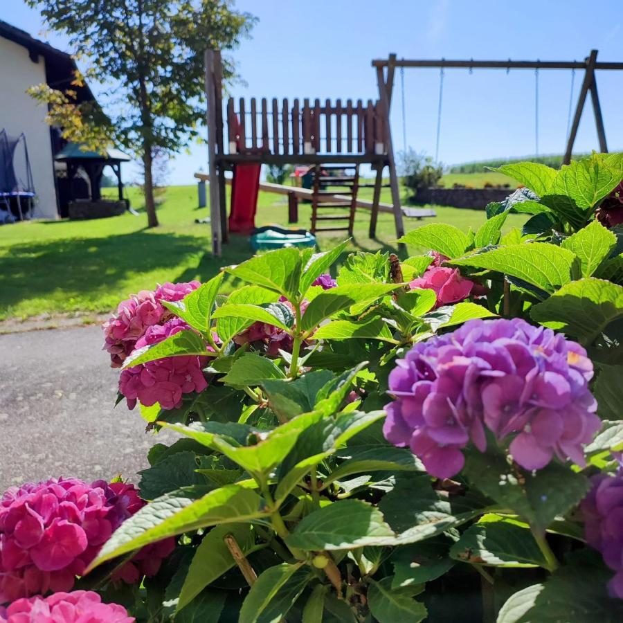 Fruehstuecks-Pension Lichtenauer Hof Thyrnau Eksteriør billede